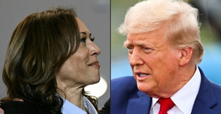 Global Stability & Smart Power: Trump Versus Harris